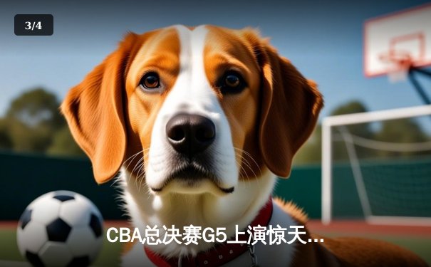 CBA总决赛G5上演惊天逆转 辽宁本钢加时险胜广东宏远卫冕成功 - 3